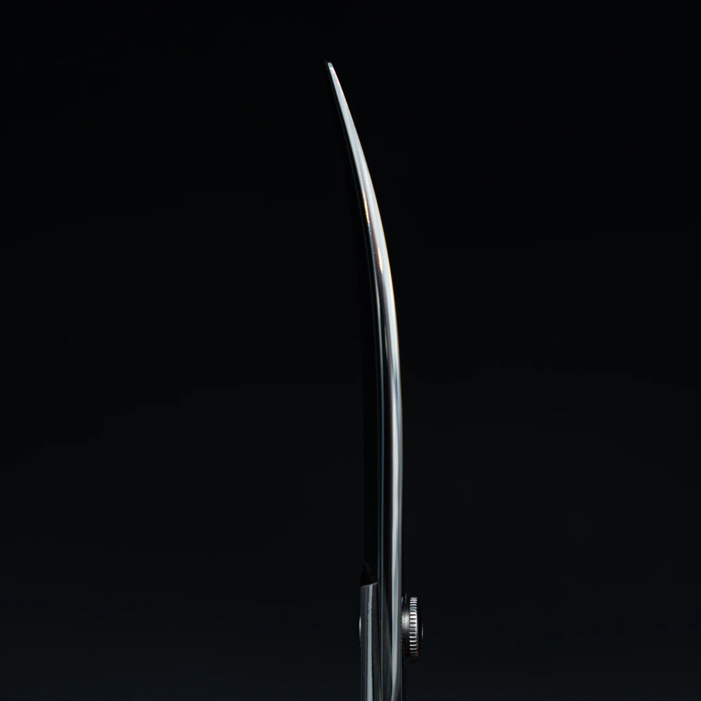 Curve F