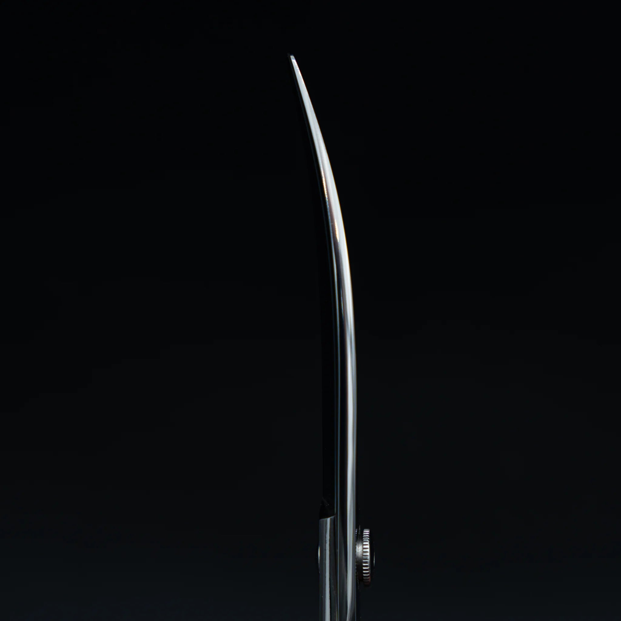 Curve F